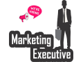 marketing-excutive-small-0